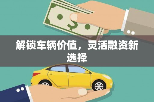 乐东解锁车辆价值，灵活融资新选择