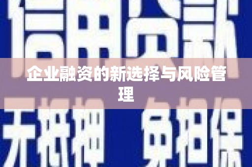 乐东企业融资的新选择与风险管理