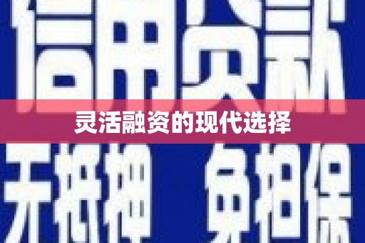 乐东灵活融资的现代选择