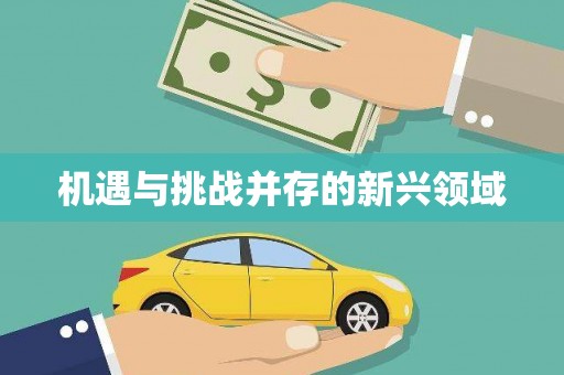 乐东机遇与挑战并存的新兴领域