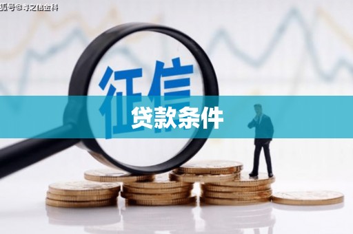 乐东贷款条件