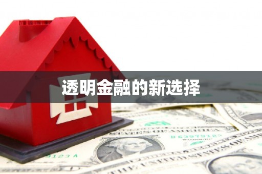 乐东透明金融的新选择