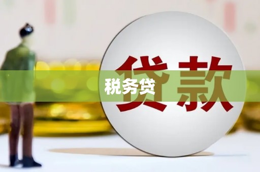 乐东税务贷