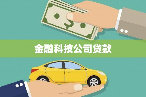 乐东金融科技公司贷款