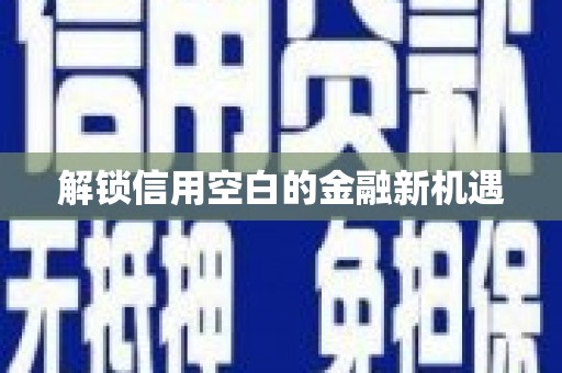 乐东解锁信用空白的金融新机遇