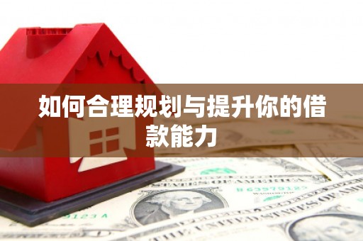 乐东如何合理规划与提升你的借款能力