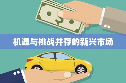 乐东机遇与挑战并存的新兴市场