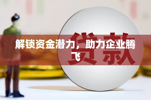 乐东解锁资金潜力，助力企业腾飞