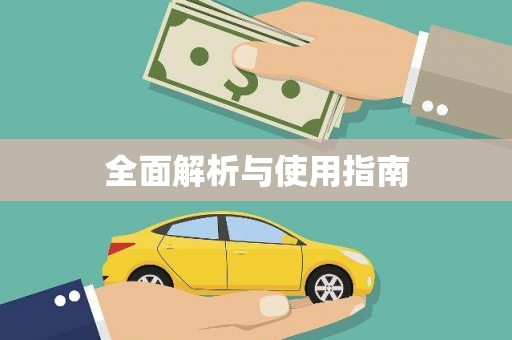 乐东全面解析与使用指南