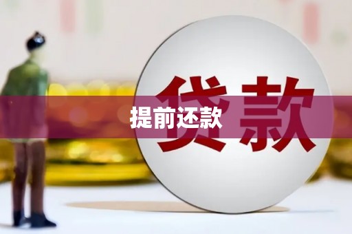 乐东提前还款
