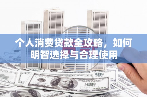 乐东个人消费贷款全攻略，如何明智选择与合理使用