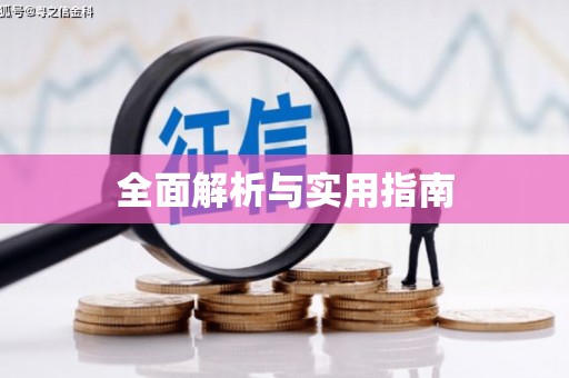 乐东全面解析与实用指南