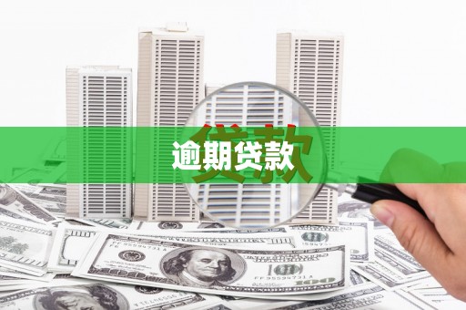 乐东逾期贷款