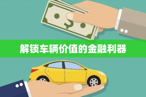 乐东解锁车辆价值的金融利器