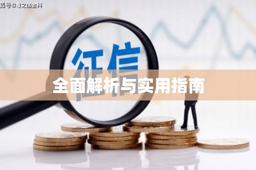 乐东全面解析与实用指南