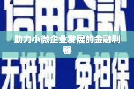 乐东助力小微企业发展的金融利器