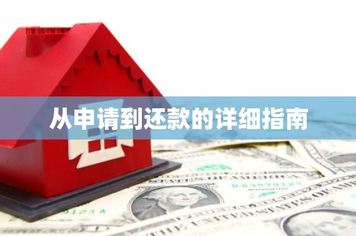 乐东从申请到还款的详细指南