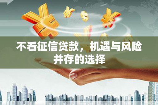 乐东不看征信贷款，机遇与风险并存的选择