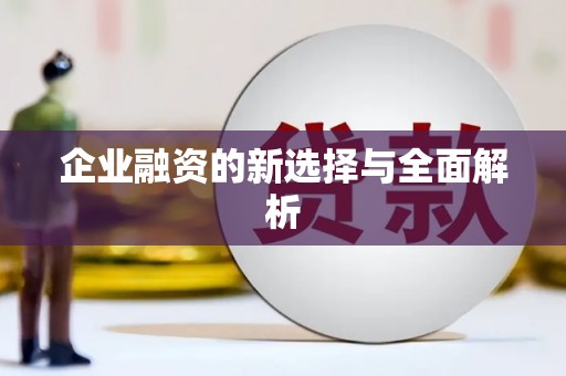 乐东企业融资的新选择与全面解析