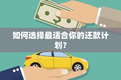 乐东如何选择最适合你的还款计划？