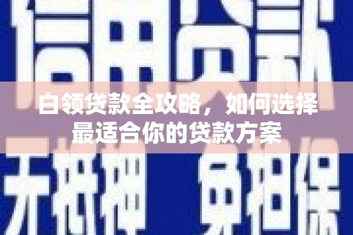 乐东白领贷款全攻略，如何选择最适合你的贷款方案