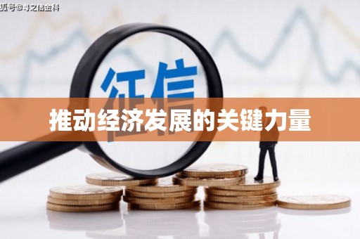 乐东推动经济发展的关键力量