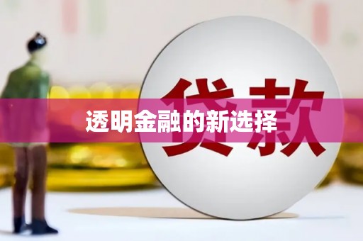 乐东透明金融的新选择