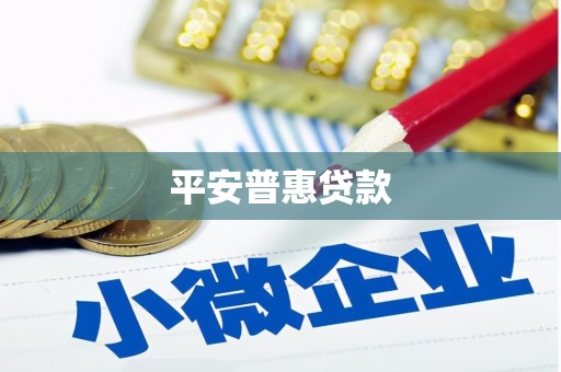 乐东平安普惠贷款