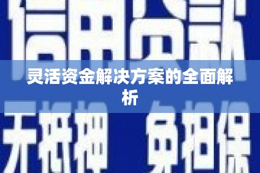乐东灵活资金解决方案的全面解析