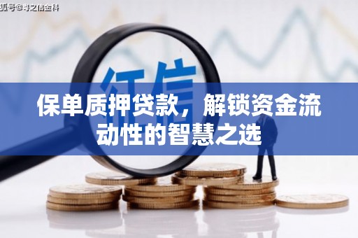 乐东保单质押贷款，解锁资金流动性的智慧之选