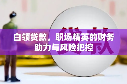 乐东白领贷款,职场精英的财务助力与风险把控 乐东白领贷款,职场精英的财务助力与风险把控