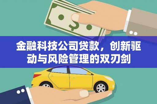 乐东金融科技公司贷款，创新驱动与风险管理的双刃剑