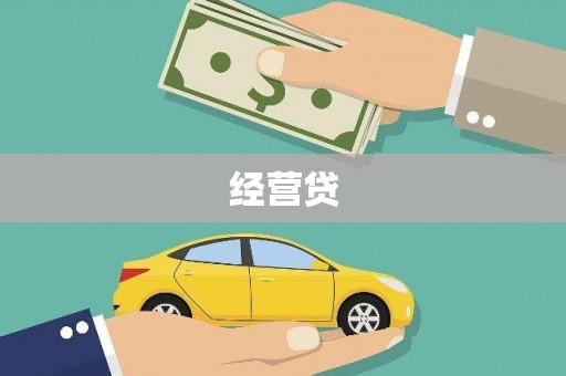 乐东经营贷
