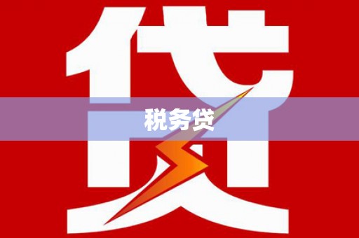 乐东税务贷