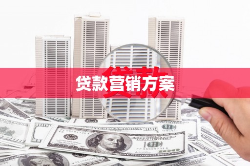 乐东贷款营销方案